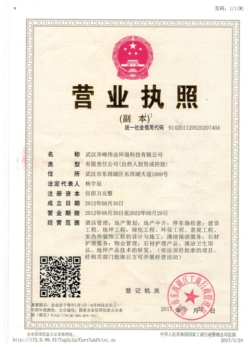 武漢德立固材料股份有限公司營業(yè)執(zhí)照